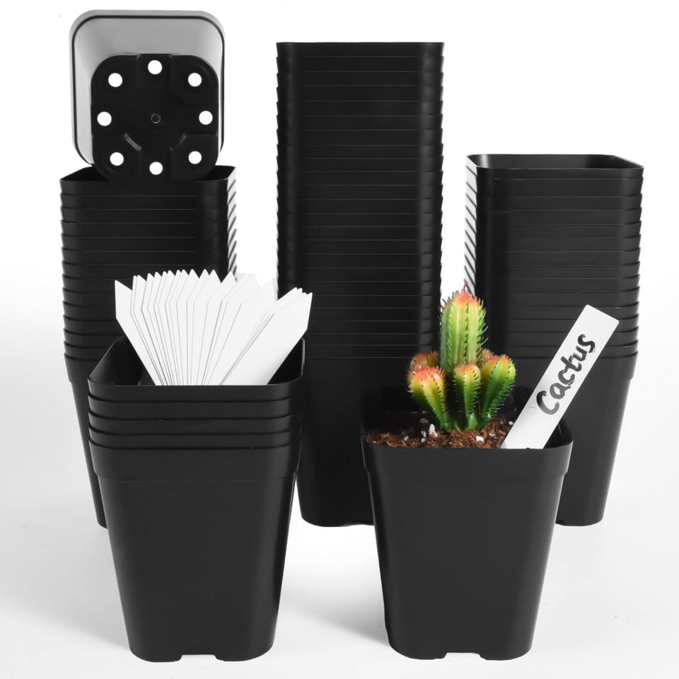 June Fox seedling pots 60-pack black square 4-inch with drainage for healthy starts