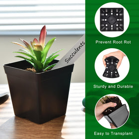 June Fox seedling pots with bottom drainage holes support healthy roots.