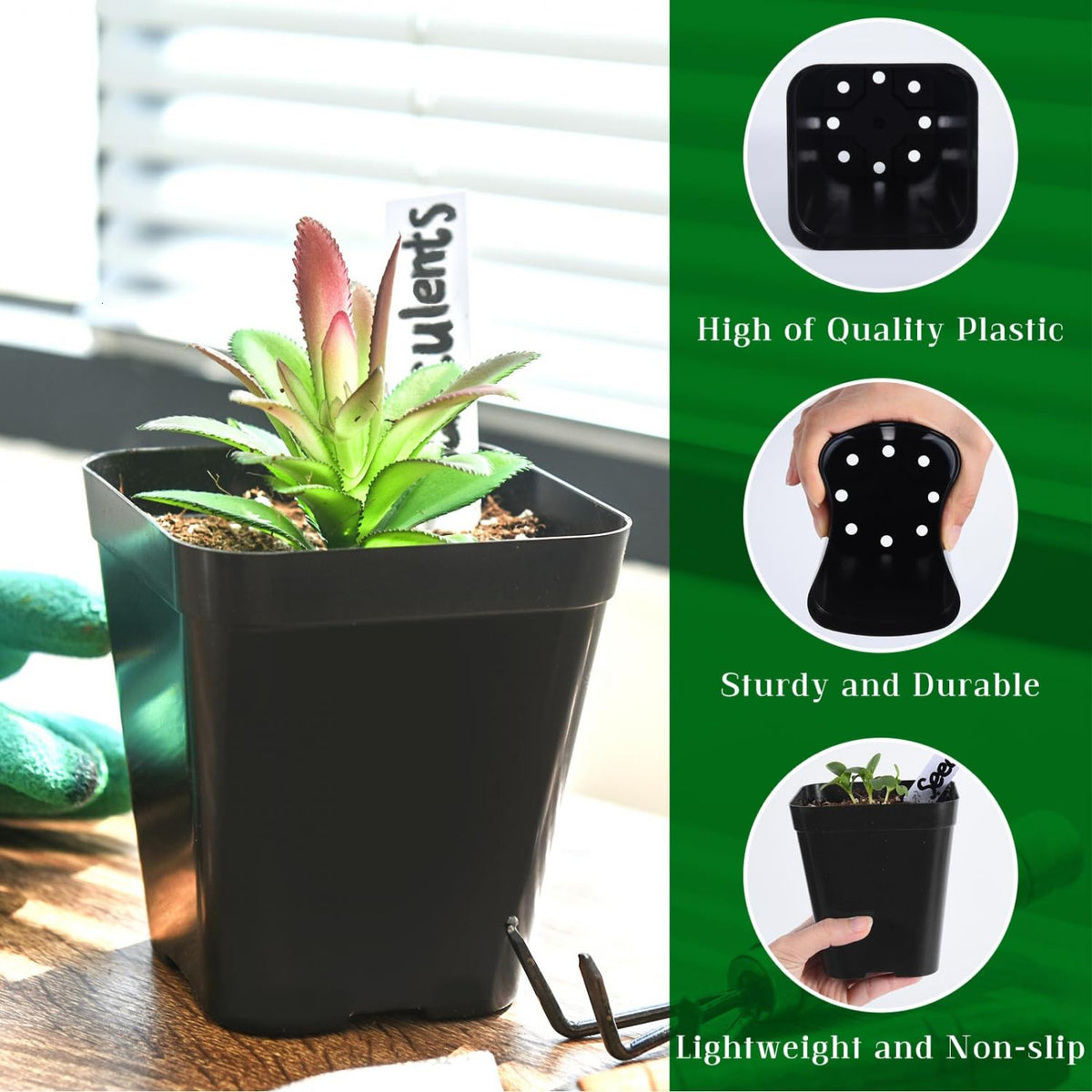 June Fox seedling pots with drainage holes support proper moisture management