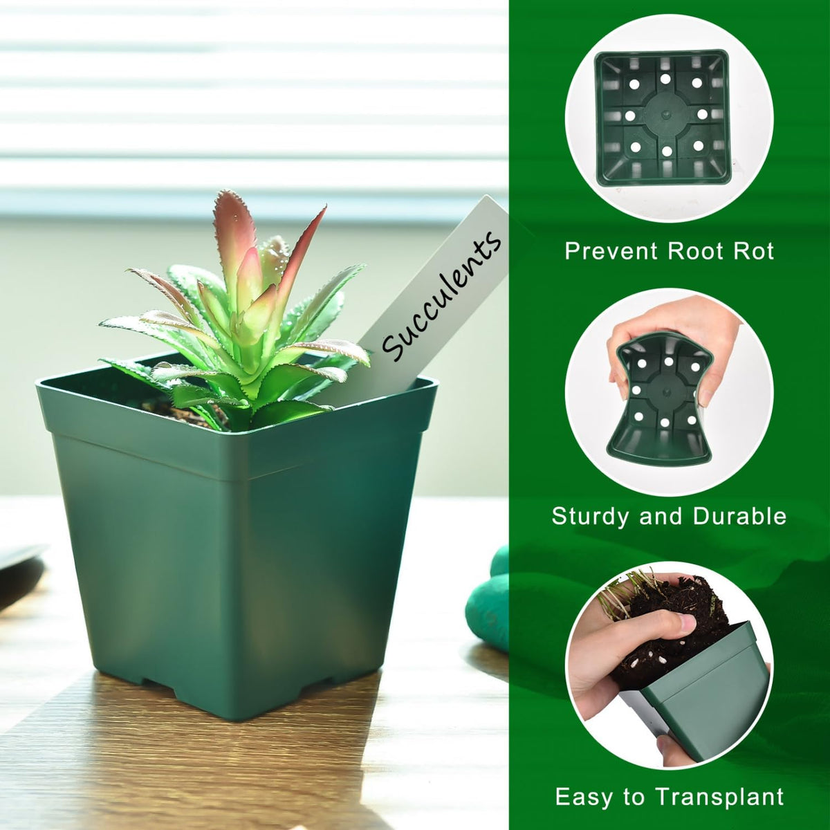 June Fox seedling starter trays with ventilation channels to promote root airflow.