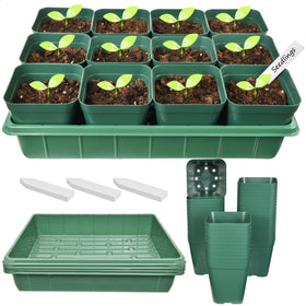 June Fox square 4-inch nursery pot with drainage for healthy roots.