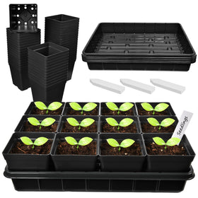 June Fox square nursery pots for durable, reusable seedling starters.