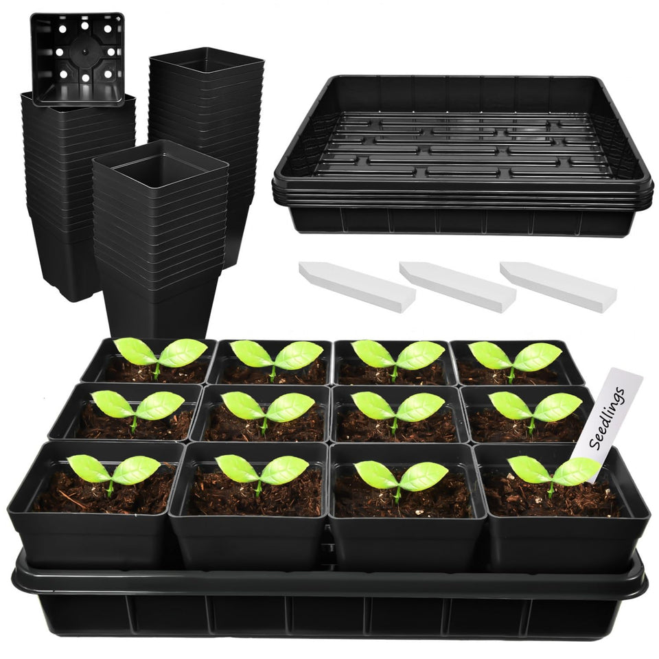 June Fox square nursery pots for durable, reusable seedling starters.
