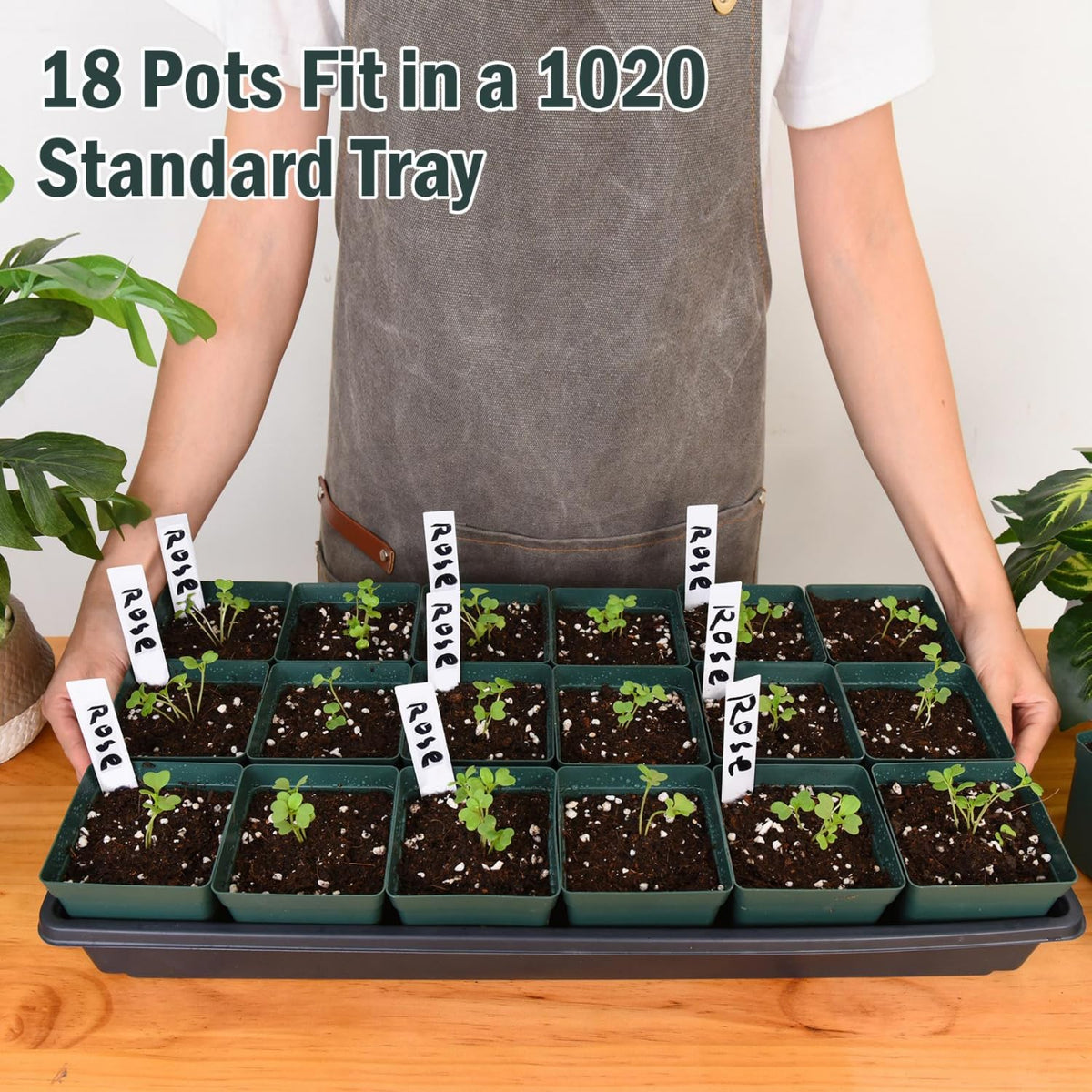 June Fox square pots fit neatly in a 1020 flat.