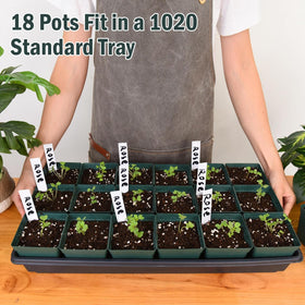 June Fox square pots fit neatly in a 1020 flat.