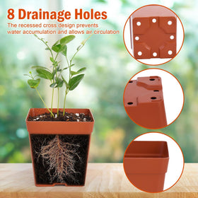 June Fox square pot demonstrates compact stacking for space-saving seedling trays.