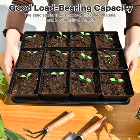 June Fox sturdy transport tray provides stable carrying of pots during moves.