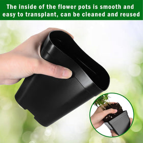 June Fox succulent propagation pots ideal for cuttings and small plants