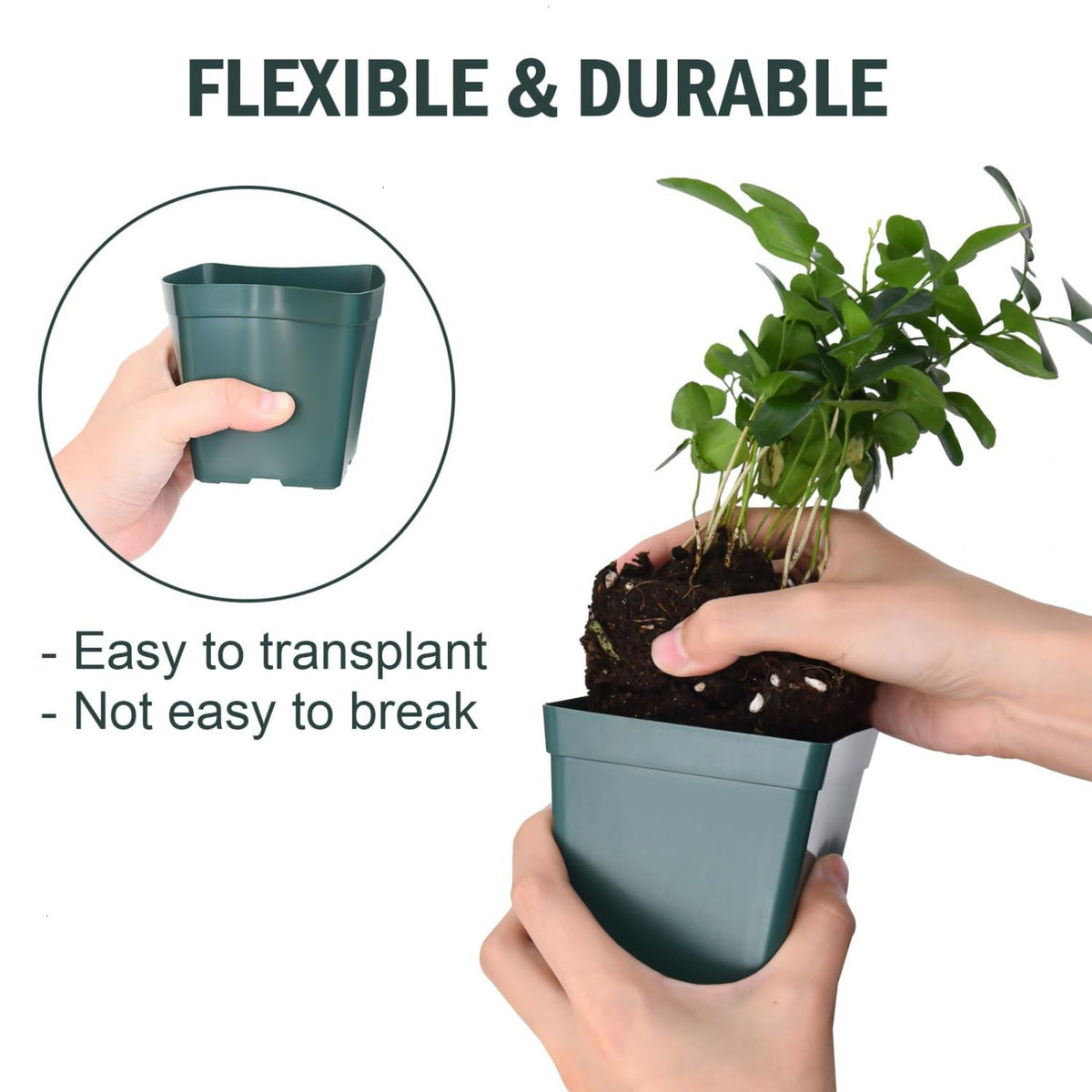 June Fox waterproof plant labels 10x2 cm for clear tagging.