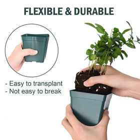 June Fox waterproof plant labels 10x2 cm for clear tagging.