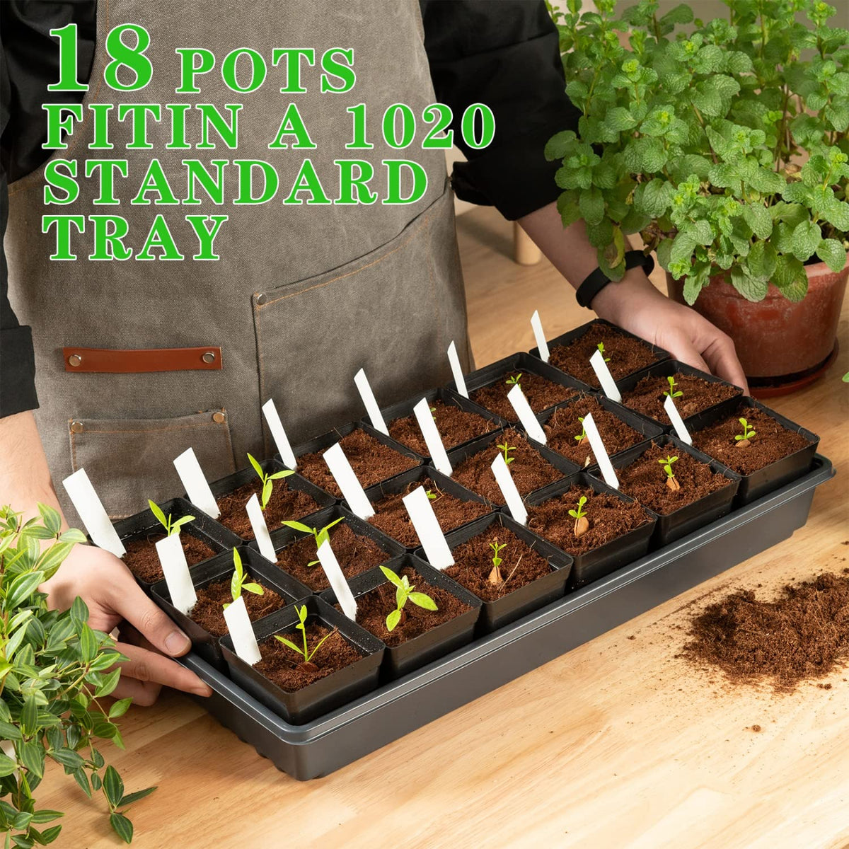 June Fox pot interior highlights eight drainage holes for airflow.