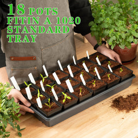 June Fox pot interior highlights eight drainage holes for airflow.