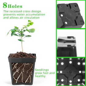 June Fox flexible, durable plastic pots resist impact and are reusable.