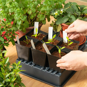 June Fox 100 plant labels included for clear seedling tracking.