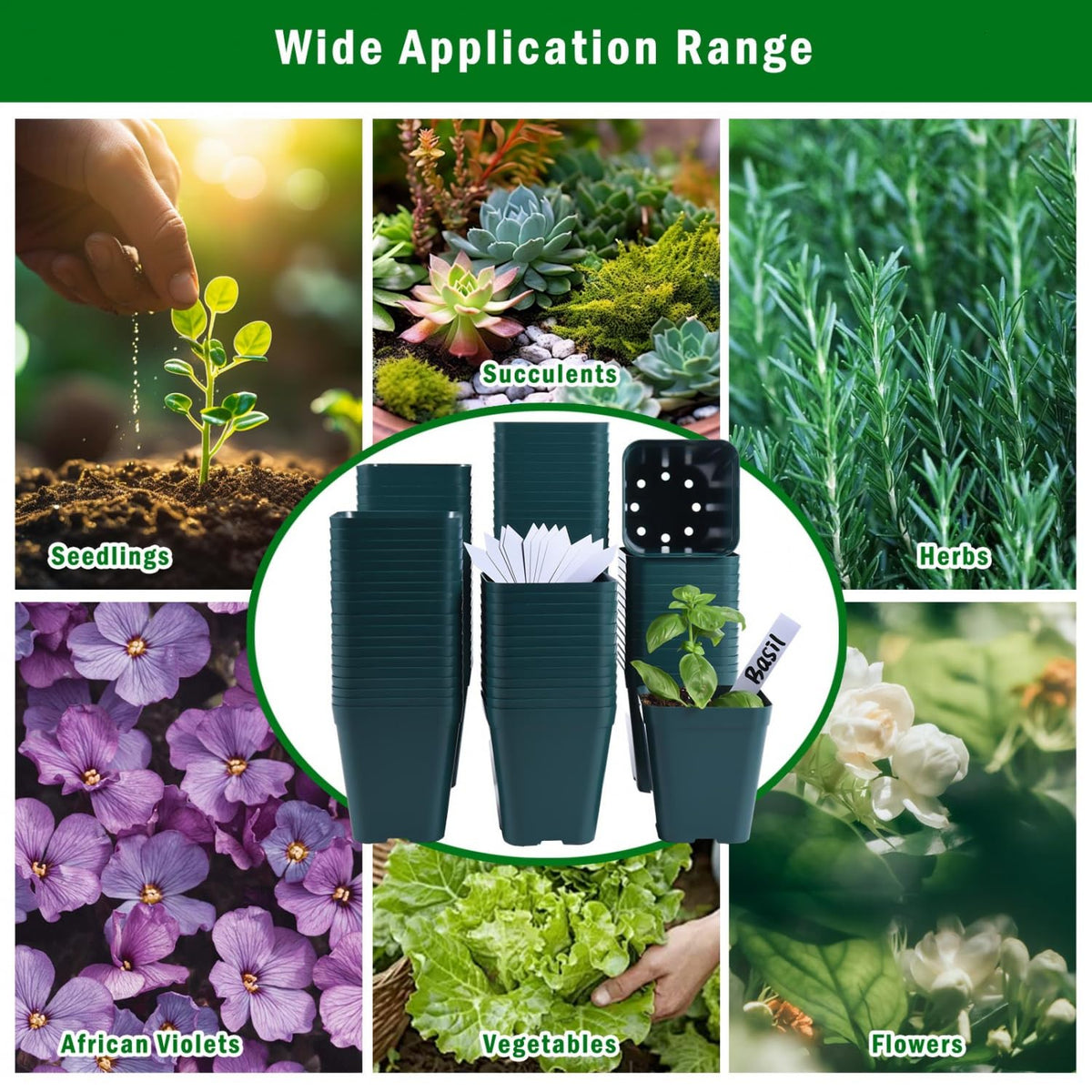 June Fox plant labels included to track varieties and growth