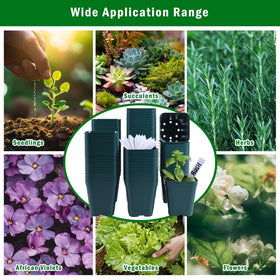 June Fox plant labels included to track varieties and growth