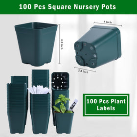 June Fox seedling pot showing bottom drainage holes for proper watering