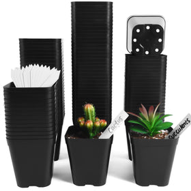 June Fox 4-inch square black seedling pots for seedlings and cuttings