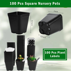 June Fox seedling pots showing bottom drain holes for aeration