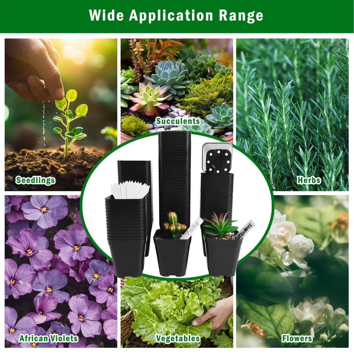 June Fox 100-pack with plant labels for garden organization