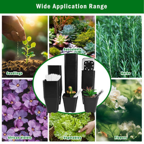 June Fox 100-pack with plant labels for garden organization