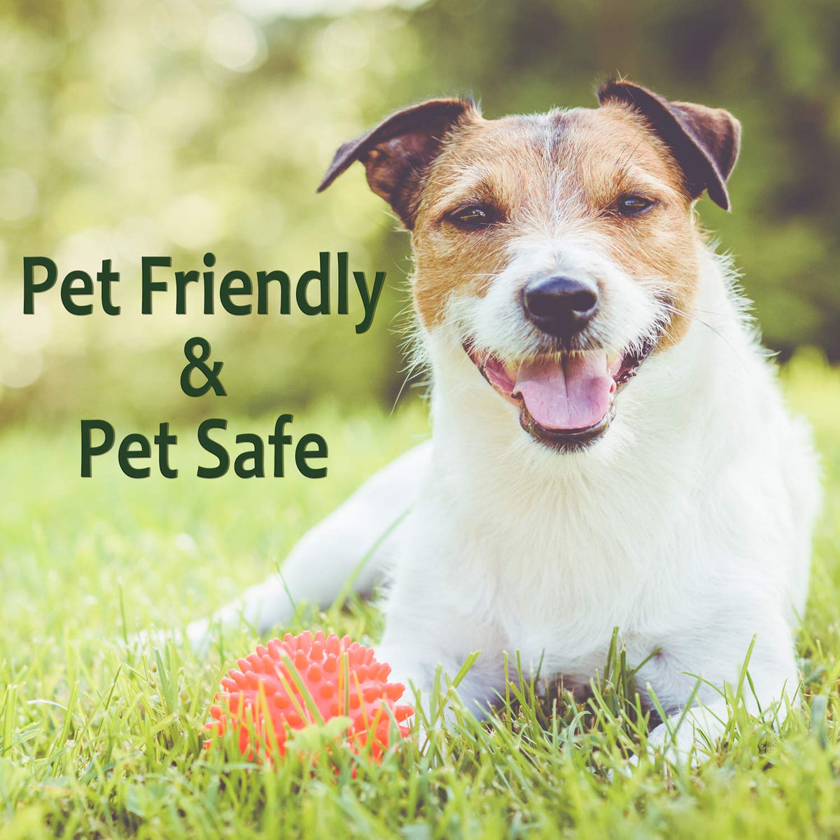 Just For Pets natural formula combats weeds without glyphosate outdoors