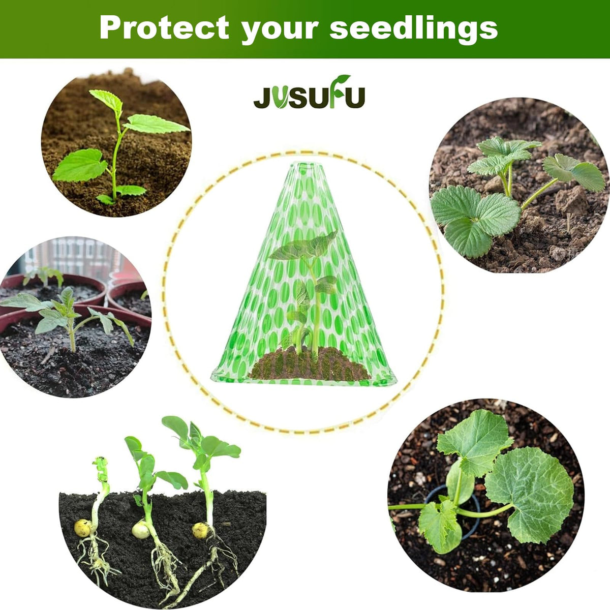 JUSUFU garden cloche guards plants from frost while encouraging steady growth