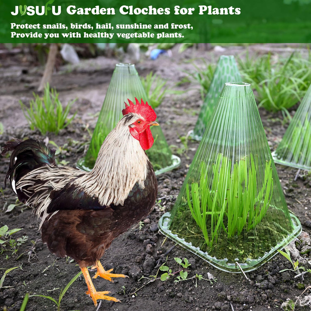 JUSUFU garden cloche ideal for home gardens and patios