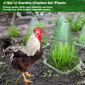 JUSUFU garden cloche ideal for home gardens and patios