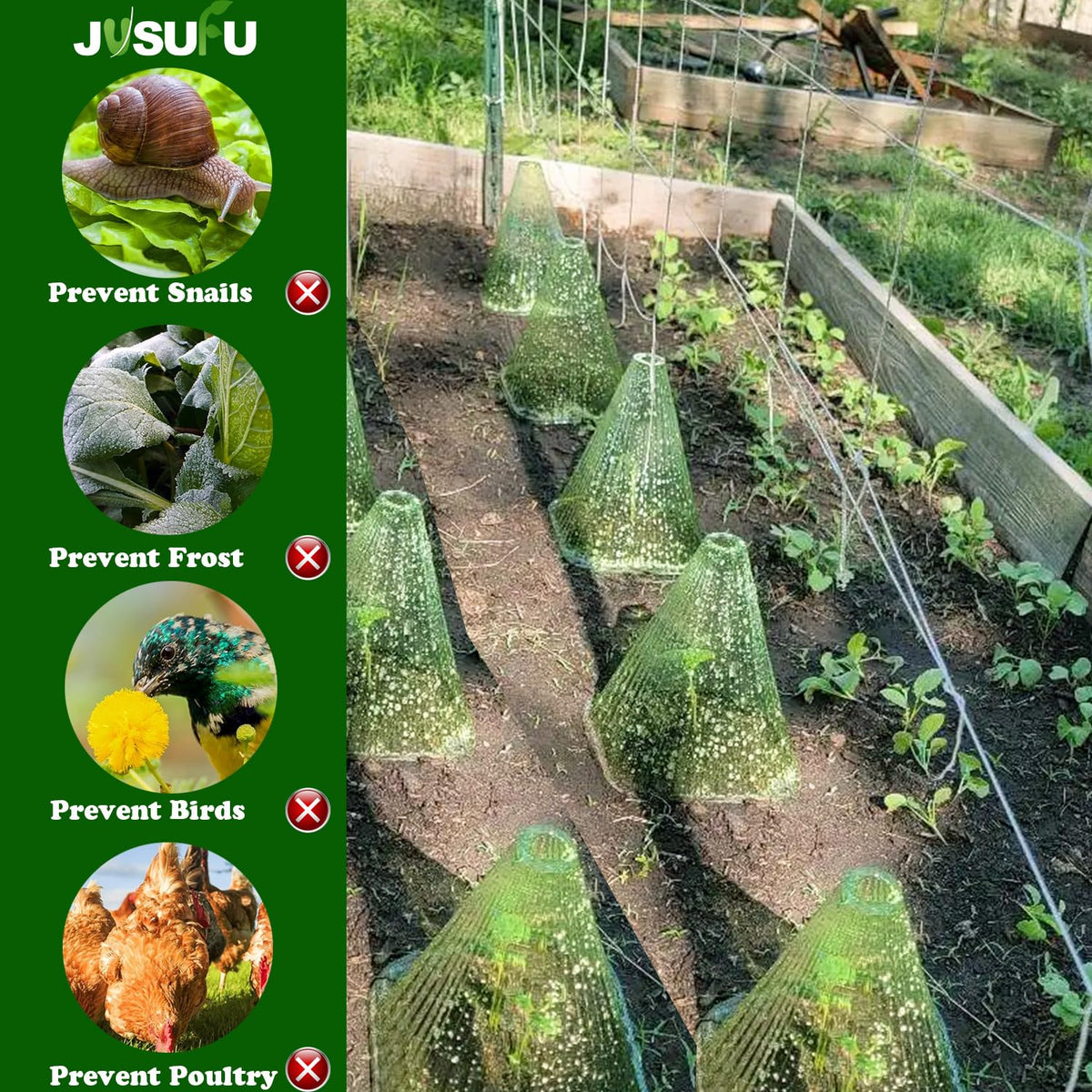 JUSUFU garden cloche deters snails and pests for healthier vegetables