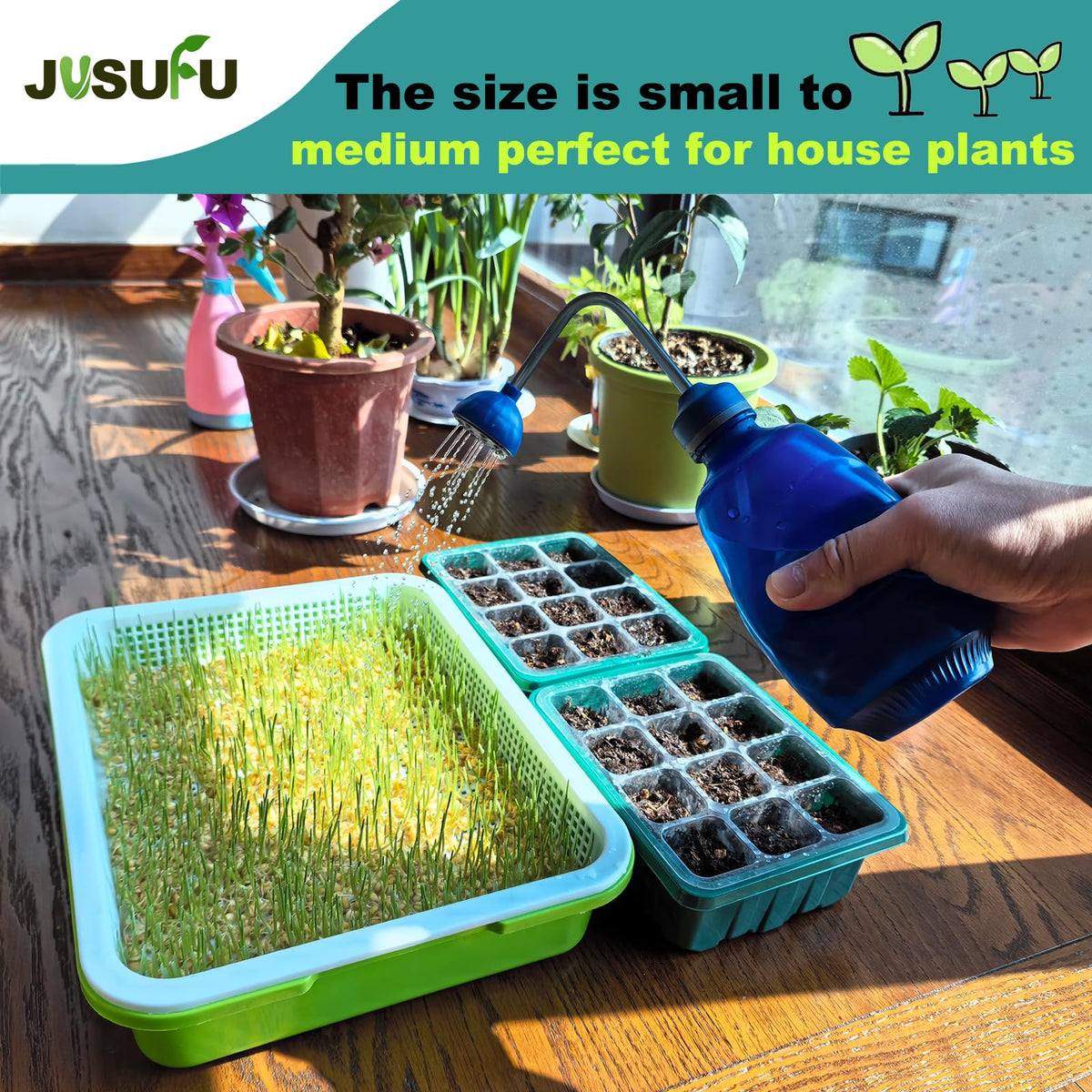 JUSUFU blue watering can for indoor plants on shelves and balconies