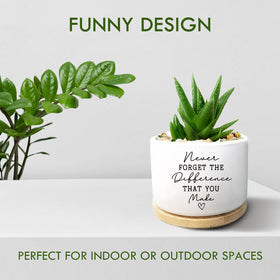 Jutasty 3.5-inch diameter planter fits succulents and small plants.