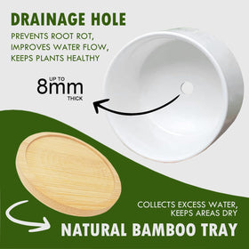 Jutasty ceramic planter in white complements any room decor.