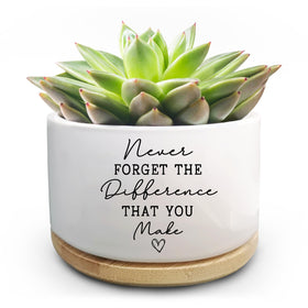 Jutasty succulent pot on a tidy desk enhances workspace with whimsy.