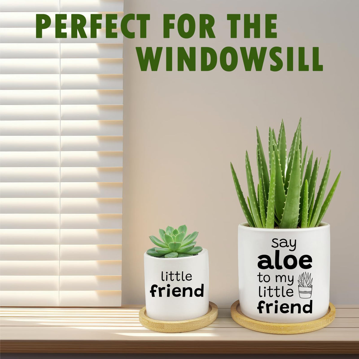 Jutasty gift-ready set suits plant lovers for celebrations.