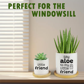 Jutasty gift-ready set suits plant lovers for celebrations.