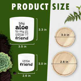 Jutasty Little Friend pot fits tiny cacti for compact arrangements.