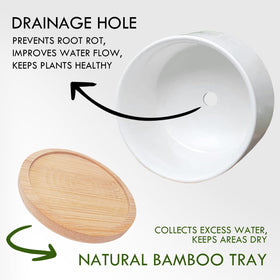 Jutasty planter drainage hole detail for healthy small plants.