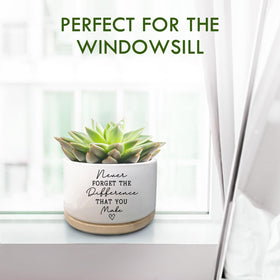 Jutasty white ceramic planter close-up shows premium finish for modern interiors.