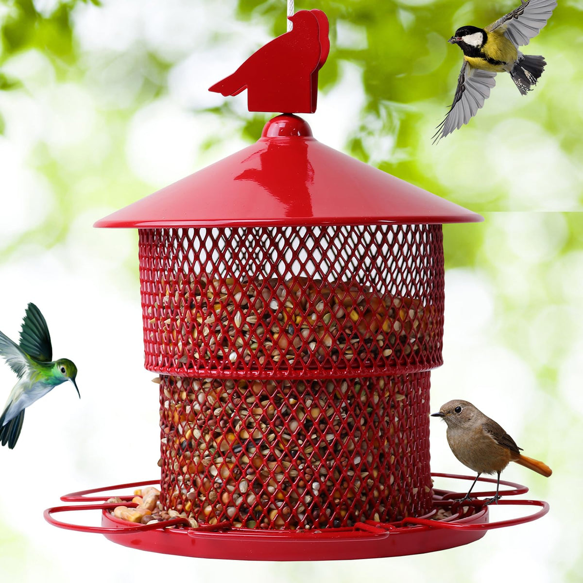 JUTYAST backyard-friendly feeder measures 8.3 by 7 inches for compact setups.