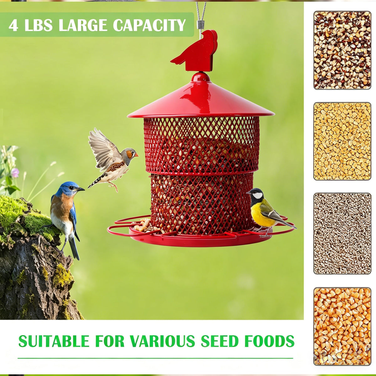 JUTYAST durable iron feeder with locking top deters pesky squirrels from seeds.