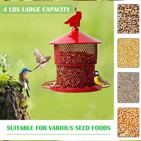 JUTYAST durable iron feeder with locking top deters pesky squirrels from seeds.