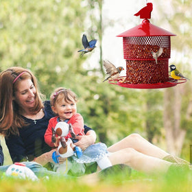 JUTYAST six perches encourage birds to land and feed from multiple angles.