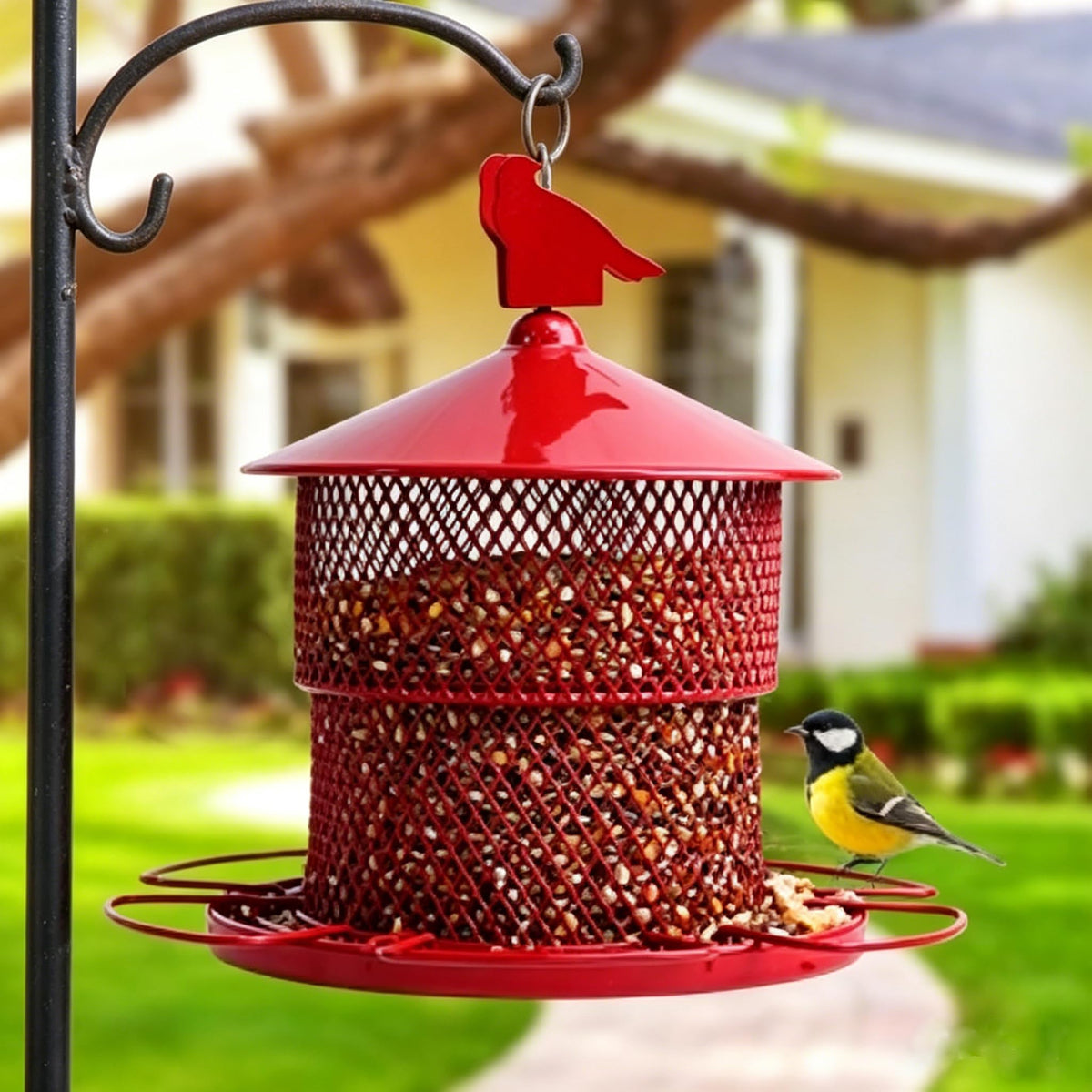 JUTYAST squirrel-proof feeder outdoors with metal mesh, 4 lb capacity attracts multiple garden birds.