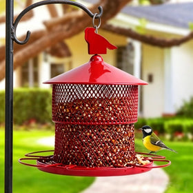 JUTYAST squirrel-proof feeder outdoors with metal mesh, 4 lb capacity attracts multiple garden birds.