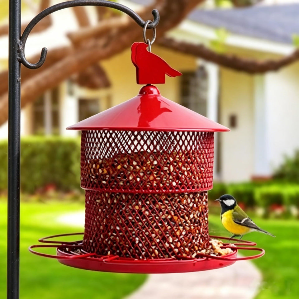 JUTYAST squirrel-proof feeder outdoors with metal mesh, 4 lb capacity attracts multiple garden birds.