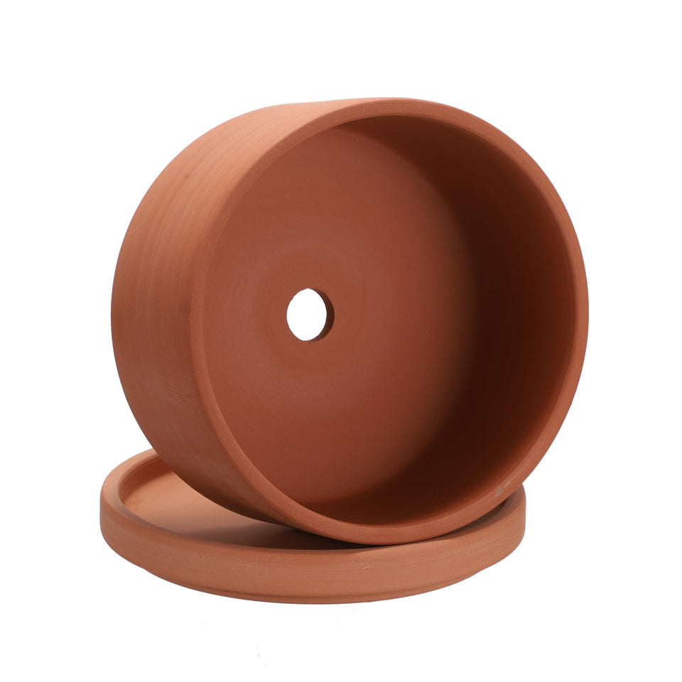 JUXYES 6-inch terracotta pot top view ideal airflow for succulents
