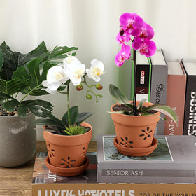 JUXYES breathable terracotta promotes air flow around roots.