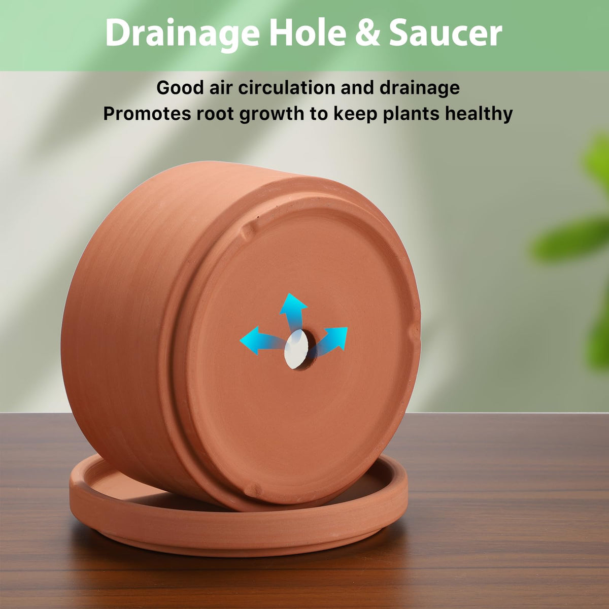 JUXYES drainage-hole terracotta pot demonstrates proper venting for soil health