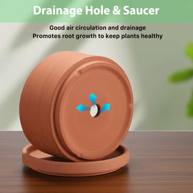 JUXYES drainage-hole terracotta pot demonstrates proper venting for soil health